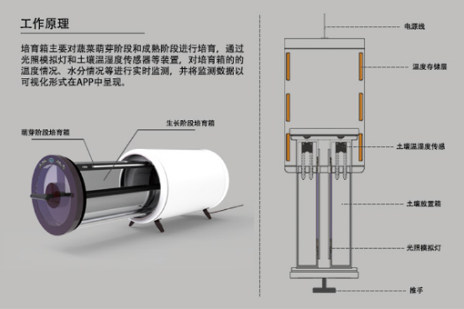09局部展示.png 09局部展示.png